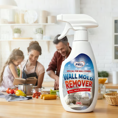 wall mold remover